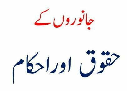 جانوروں کے حقوق اور احکام