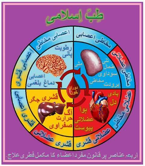 تشخیص تحریک تحلیل تسکین قانون مفرد اعضاء