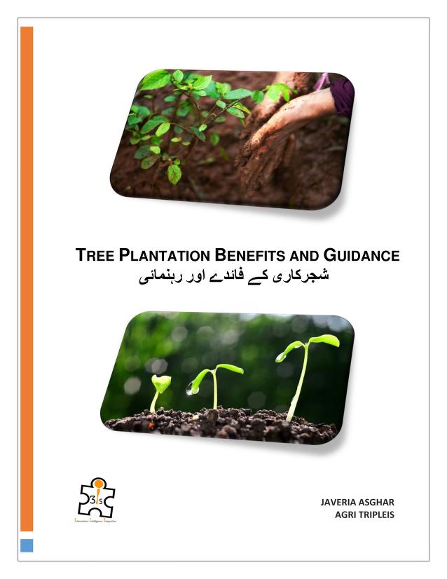 درخت لگانے کی گائیڈ