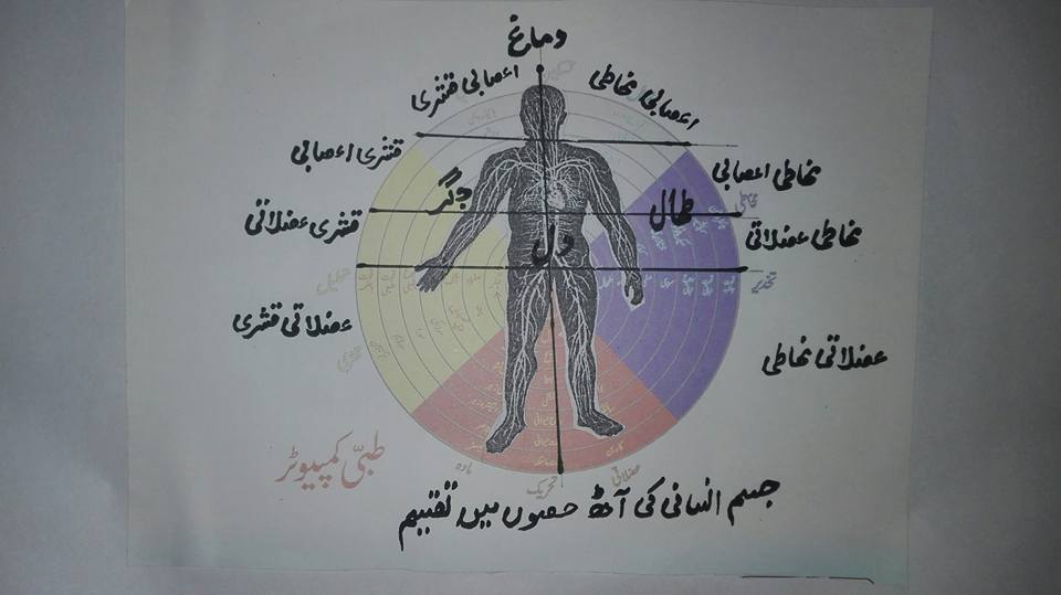 Human body Qanoon Mufrad aza