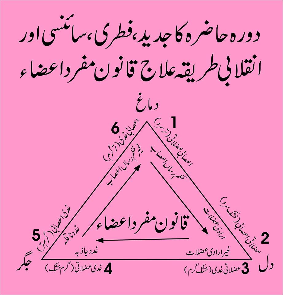 Tashkees Qanoon Mufrad aza 5