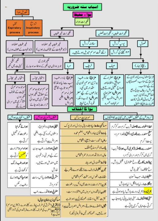 اسباب ستہ ضروریہ