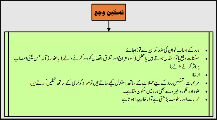 اصول طب تسکین وجع